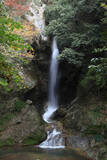 「【涼を呼ぶ夏の絶景】四国地域の美しい滝５選」の画像5