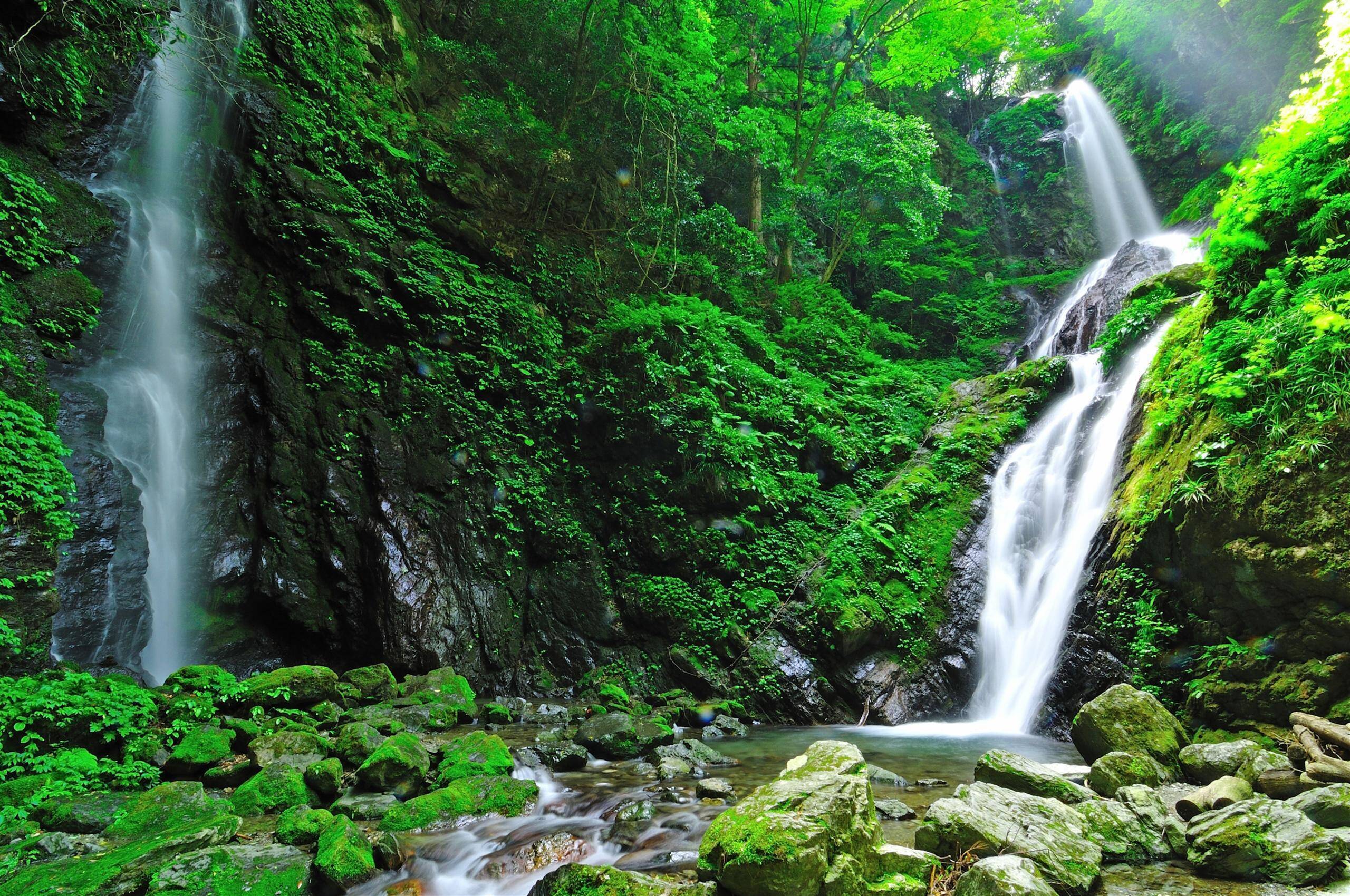 【涼を呼ぶ夏の絶景】四国地域の美しい滝５選