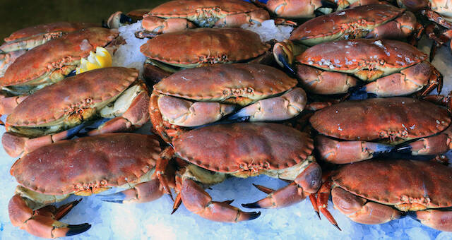 G７サミットで知名度急上昇！夏のリゾート地として人気の「コーンウォール」の魅力【イギリス】