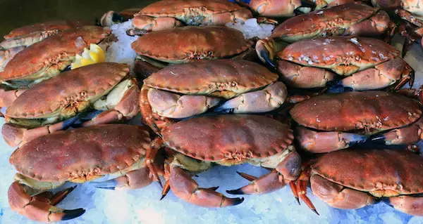 「G７サミットで知名度急上昇！夏のリゾート地として人気の「コーンウォール」の魅力【イギリス】」の画像