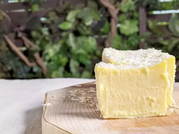 「感動的な口どけ！ホワイトチョコとクリームチーズのマリアージュ「テリーヌ ショコラ」」の画像