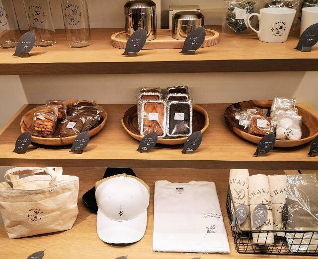 革新的な限定ドリンク“ほうじ茶セサミチーズ”の衝撃！ティーラテ専門店「CHAVATY」【渋谷東急フードショー】