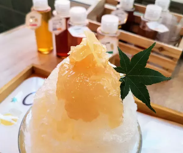 「【京都】蜂蜜専門店の「自家製蜂蜜のかき氷」を実食！９月中頃までの限定「ミールミィ三条本店」」の画像