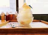 「【京都】蜂蜜専門店の「自家製蜂蜜のかき氷」を実食！９月中頃までの限定「ミールミィ三条本店」」の画像2