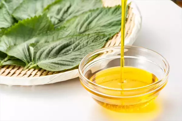 「今日は何の日？【８月２３日】」の画像