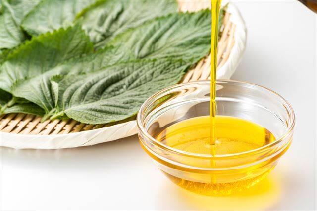 今日は何の日？【８月２３日】