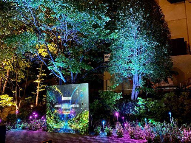 北海道・定山渓の大自然をアートで体感する！ネイキッドのナイトウォーク開催中