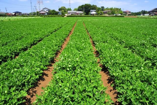 【千葉の難読地名】神々廻、小食土、匝瑳・・・いくつ読めますか？