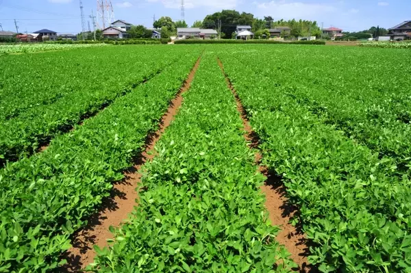「【千葉の難読地名】神々廻、小食土、匝瑳・・・いくつ読めますか？」の画像