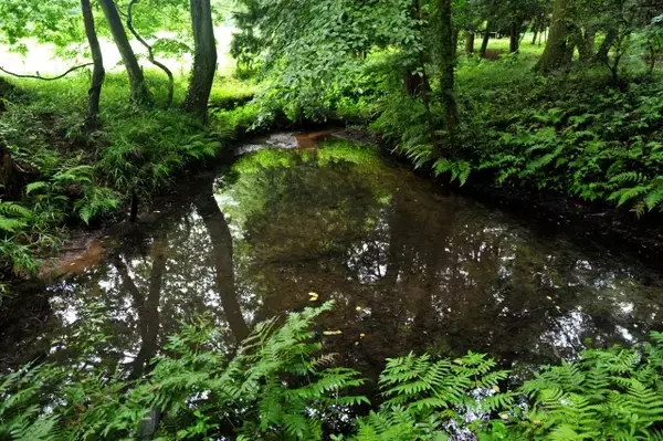 「【千葉の難読地名】神々廻、小食土、匝瑳・・・いくつ読めますか？」の画像