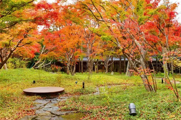 「星野リゾート「界」で秋を満喫する～紅葉に酔いしれる界の温泉旅～」の画像