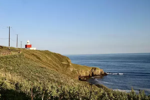 「ハーゲンダッツの故郷！野生のラッコもいる漁業と酪農の町【北海道浜中町の旅１】」の画像
