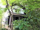 「【京都・大原】緑あふれる庭を眺めながら憩える古民家カフェ「cafe ＆ Book APIED」」の画像21