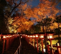 紅葉のライトアップが秋の夜空を彩る「京の奥座敷・貴船もみじ灯篭」