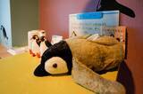 「シロクマやペンギンに囲まれる客室も「OMO7旭川by 星野リゾート」宿泊レポ」の画像16