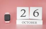 「【１０月２６日】今日は何の日？柿の日」の画像5