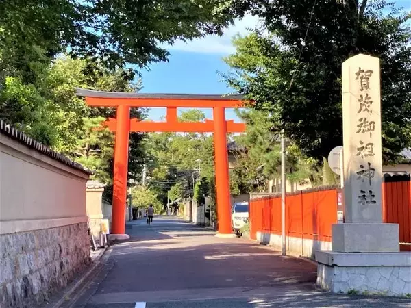 「京都のお屋敷で紅葉と和スイーツを楽しめる！重要文化財「旧三井家下鴨別邸」」の画像