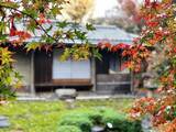 「京都のお屋敷で紅葉と和スイーツを楽しめる！重要文化財「旧三井家下鴨別邸」」の画像22