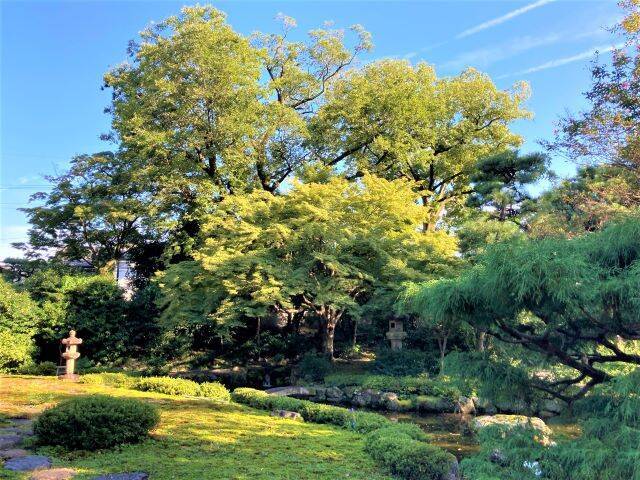 京都のお屋敷で紅葉と和スイーツを楽しめる！重要文化財「旧三井家下鴨別邸」