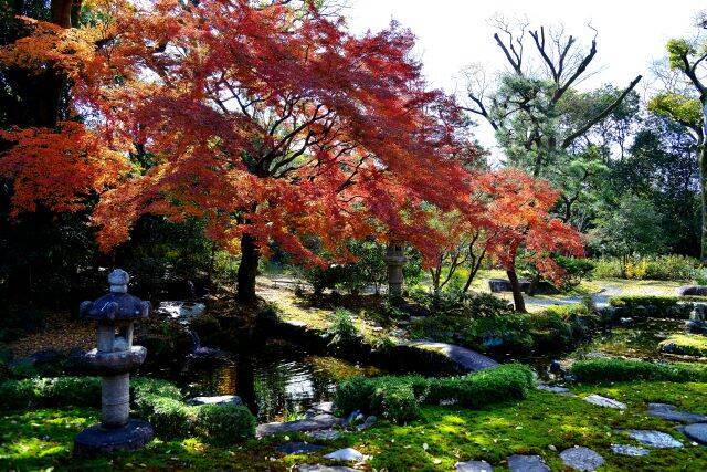 京都のお屋敷で紅葉と和スイーツを楽しめる！重要文化財「旧三井家下鴨別邸」