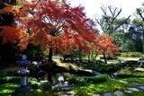 「京都のお屋敷で紅葉と和スイーツを楽しめる！重要文化財「旧三井家下鴨別邸」」の画像27