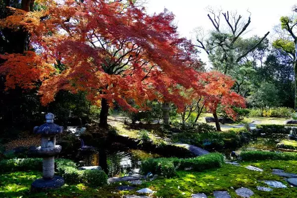 「京都のお屋敷で紅葉と和スイーツを楽しめる！重要文化財「旧三井家下鴨別邸」」の画像