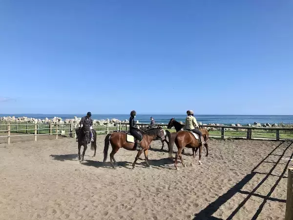 「海辺で馬に乗る！北太平洋シーサイドライン乗馬クラブ【北海道浜中町の旅６】」の画像