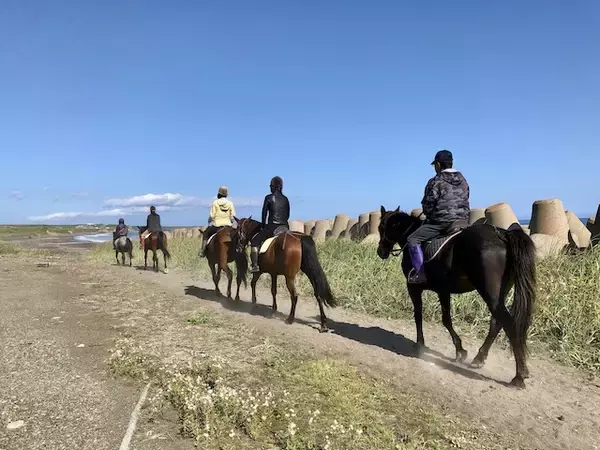 「海辺で馬に乗る！北太平洋シーサイドライン乗馬クラブ【北海道浜中町の旅６】」の画像