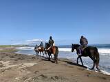 「海辺で馬に乗る！北太平洋シーサイドライン乗馬クラブ【北海道浜中町の旅６】」の画像13