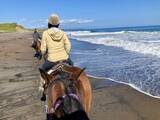 「海辺で馬に乗る！北太平洋シーサイドライン乗馬クラブ【北海道浜中町の旅６】」の画像14