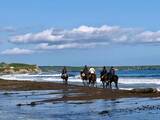 「海辺で馬に乗る！北太平洋シーサイドライン乗馬クラブ【北海道浜中町の旅６】」の画像15