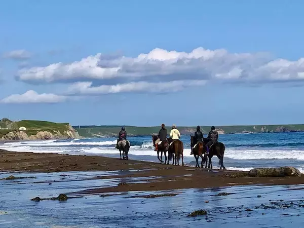 「海辺で馬に乗る！北太平洋シーサイドライン乗馬クラブ【北海道浜中町の旅６】」の画像