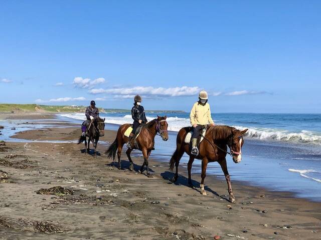 海辺で馬に乗る！北太平洋シーサイドライン乗馬クラブ【北海道浜中町の旅６】