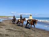 「海辺で馬に乗る！北太平洋シーサイドライン乗馬クラブ【北海道浜中町の旅６】」の画像16