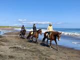 「海辺で馬に乗る！北太平洋シーサイドライン乗馬クラブ【北海道浜中町の旅６】」の画像16