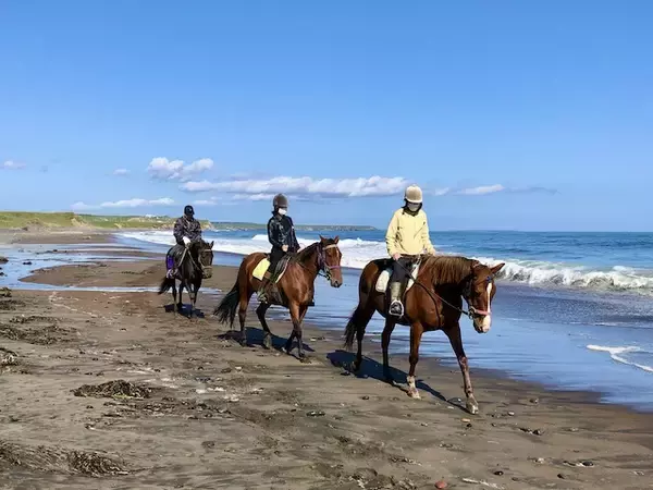「海辺で馬に乗る！北太平洋シーサイドライン乗馬クラブ【北海道浜中町の旅６】」の画像