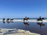 「海辺で馬に乗る！北太平洋シーサイドライン乗馬クラブ【北海道浜中町の旅６】」の画像17