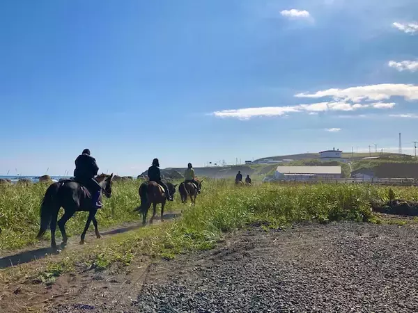 「海辺で馬に乗る！北太平洋シーサイドライン乗馬クラブ【北海道浜中町の旅６】」の画像