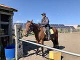 「海辺で馬に乗る！北太平洋シーサイドライン乗馬クラブ【北海道浜中町の旅６】」の画像5