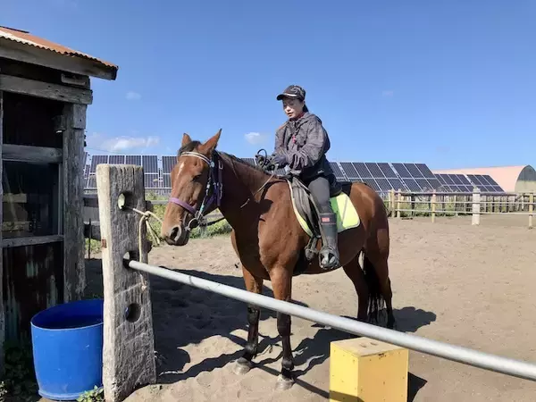 「海辺で馬に乗る！北太平洋シーサイドライン乗馬クラブ【北海道浜中町の旅６】」の画像