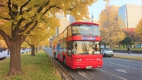 東京タワーやイチョウ並木！紅葉とイルミネーションをスカイバスで巡るツアー