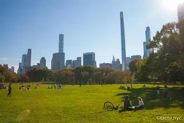 「【ニューヨーク旅学事典4】セントラルパークは森や劇場もある住民のオアシス」の画像