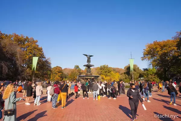 「【ニューヨーク旅学事典4】セントラルパークは森や劇場もある住民のオアシス」の画像