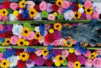 京都・柳谷観音の「紅葉ウイーク」開催中！ライトアップや話題の花手水も