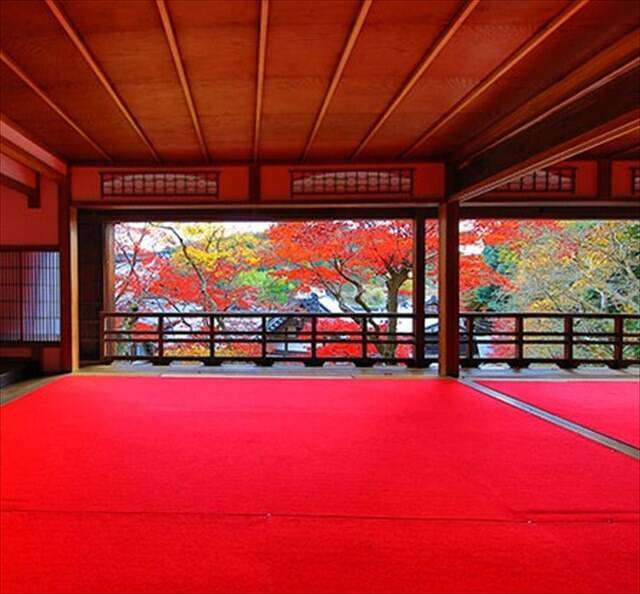 京都・柳谷観音の「紅葉ウイーク」開催中！ライトアップや話題の花手水も