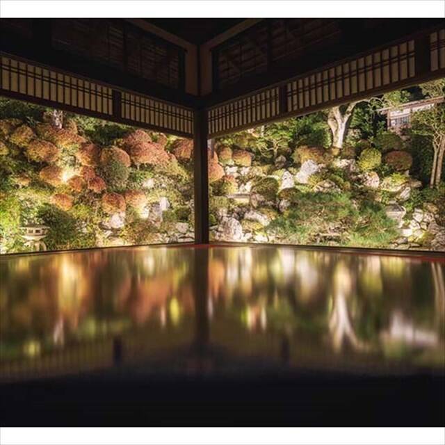 京都・柳谷観音の「紅葉ウイーク」開催中！ライトアップや話題の花手水も