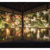 「京都・柳谷観音の「紅葉ウイーク」開催中！ライトアップや話題の花手水も」の画像14