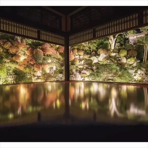 「京都・柳谷観音の「紅葉ウイーク」開催中！ライトアップや話題の花手水も」の画像