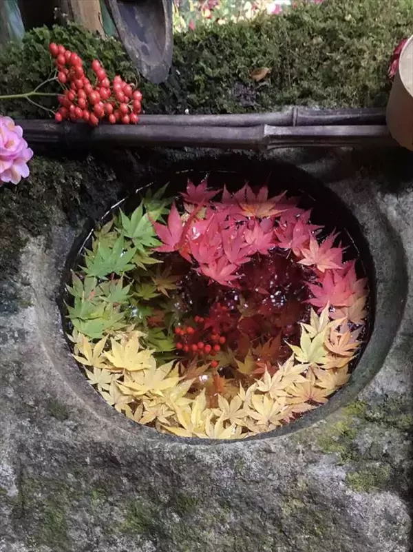 「京都・柳谷観音の「紅葉ウイーク」開催中！ライトアップや話題の花手水も」の画像