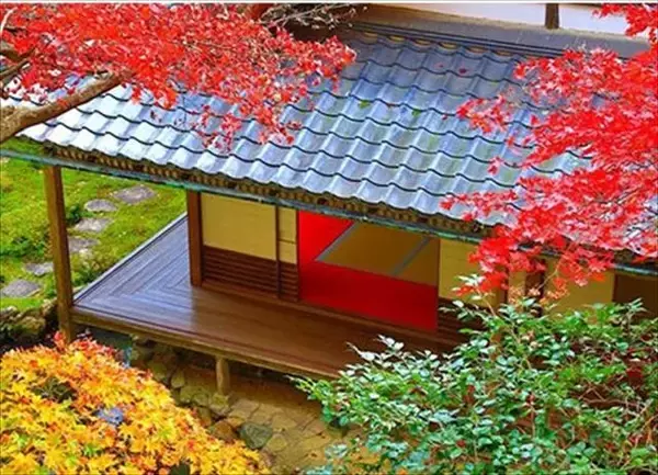 「京都・柳谷観音の「紅葉ウイーク」開催中！ライトアップや話題の花手水も」の画像